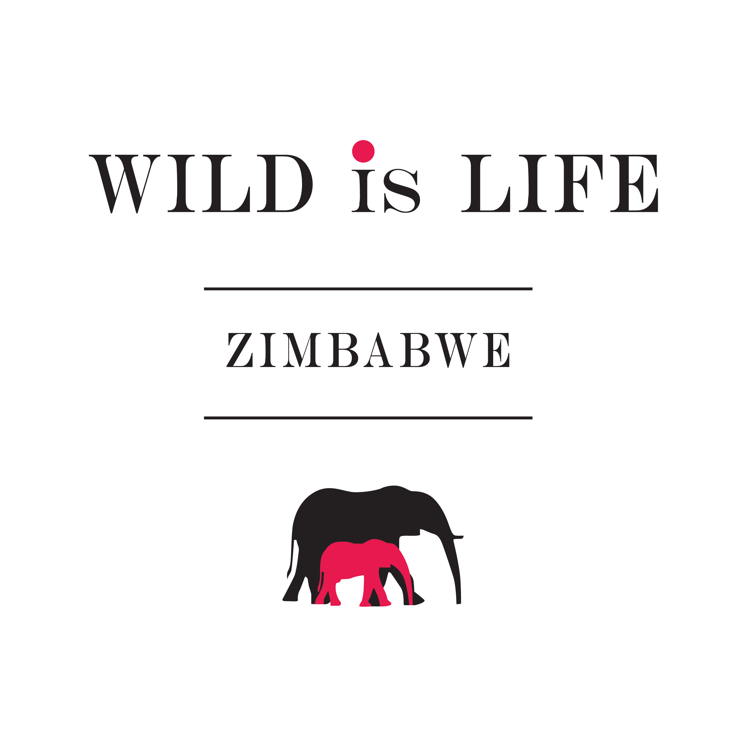 Home | Wild is Life | Wildlife Sanctuary Zimbabwe